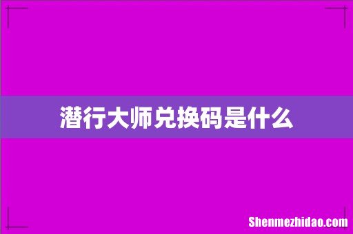 潜行大师兑换码是什么