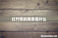 红竹蕉的寓意是什么