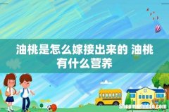 油桃是怎么嫁接出来的 油桃有什么营养