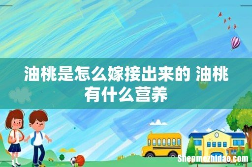 油桃是怎么嫁接出来的 油桃有什么营养