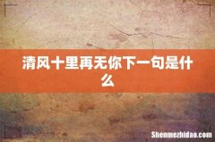 清风十里再无你下一句是什么