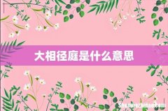 大相径庭是什么意思