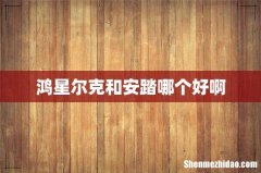 鸿星尔克和安踏哪个好啊