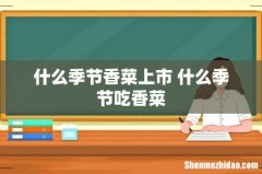 什么季节香菜上市 什么季节吃香菜