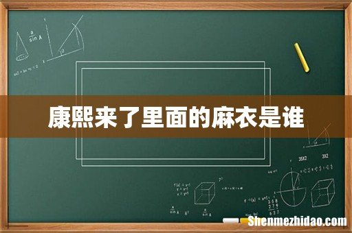 康熙来了里面的麻衣是谁