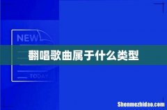 翻唱歌曲属于什么类型