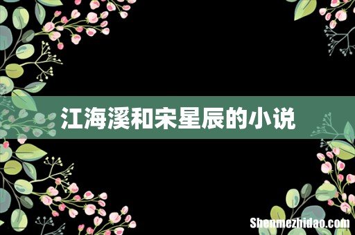 江海溪和宋星辰的小说