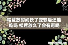 松茸放时间长了变软后还能吃吗 松茸放久了会有毒吗