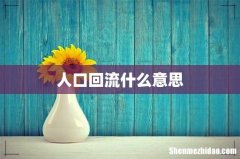 人口回流什么意思