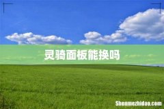 灵骑面板能换吗