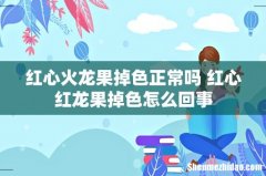 红心火龙果掉色正常吗 红心红龙果掉色怎么回事