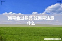 海带会过敏吗 吃海带注意什么