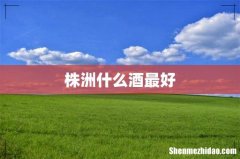 株洲什么酒最好