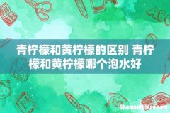 青柠檬和黄柠檬的区别 青柠檬和黄柠檬哪个泡水好