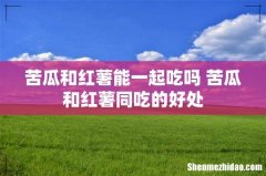 苦瓜和红薯能一起吃吗 苦瓜和红薯同吃的好处