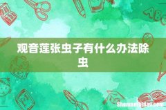 观音莲张虫子有什么办法除虫