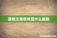 英格兰足总杯是什么级别