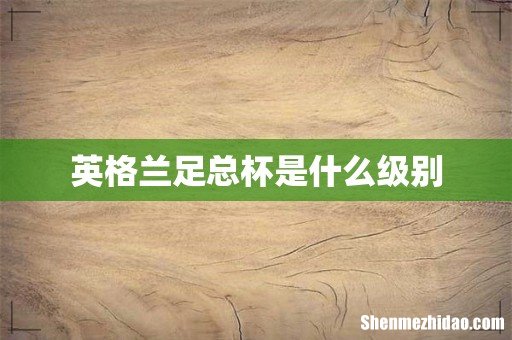 英格兰足总杯是什么级别