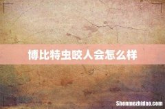 博比特虫咬人会怎么样
