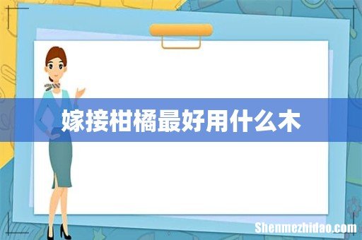 嫁接柑橘最好用什么木