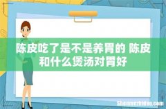 陈皮吃了是不是养胃的 陈皮和什么煲汤对胃好