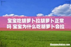 宝宝吃胡萝卜拉胡萝卜正常吗 宝宝为什么吃胡萝卜会拉胡萝卜