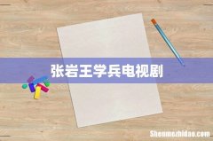 张岩王学兵电视剧