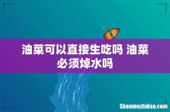 油菜可以直接生吃吗 油菜必须焯水吗