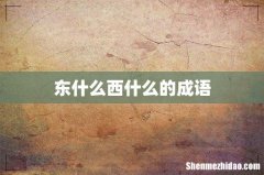 东什么西什么的成语