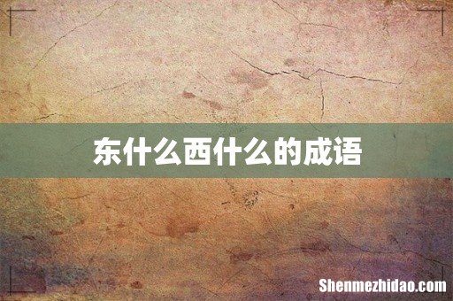 东什么西什么的成语