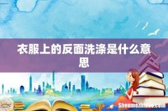 衣服上的反面洗涤是什么意思