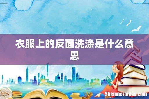 衣服上的反面洗涤是什么意思