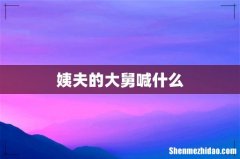 姨夫的大舅喊什么