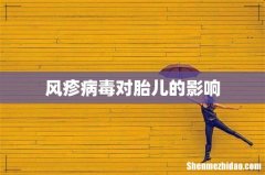风疹病毒对胎儿的影响