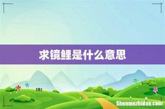 求镜鲤是什么意思