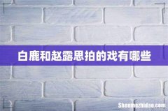 白鹿和赵露思拍的戏有哪些