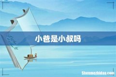 小爸是小叔吗