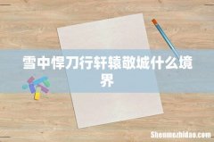 雪中悍刀行轩辕敬城什么境界