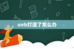 uvb灯湿了怎么办