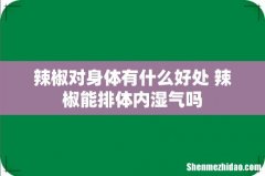 辣椒对身体有什么好处 辣椒能排体内湿气吗