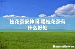 桂花茶安神吗 喝桂花茶有什么好处