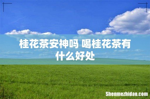 桂花茶安神吗 喝桂花茶有什么好处