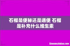 石榴是便秘还是通便 石榴是补充什么维生素