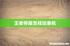 王者停服怎样玩单机