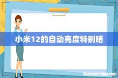 小米12的自动亮度特别暗