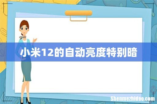 小米12的自动亮度特别暗