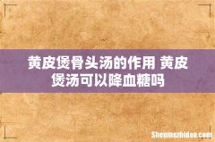 黄皮煲骨头汤的作用 黄皮煲汤可以降血糖吗