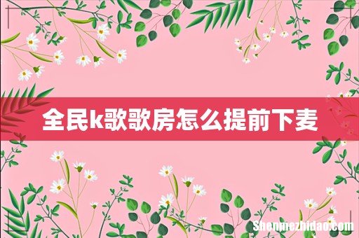 全民k歌歌房怎么提前下麦