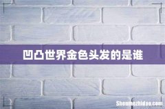 凹凸世界金色头发的是谁