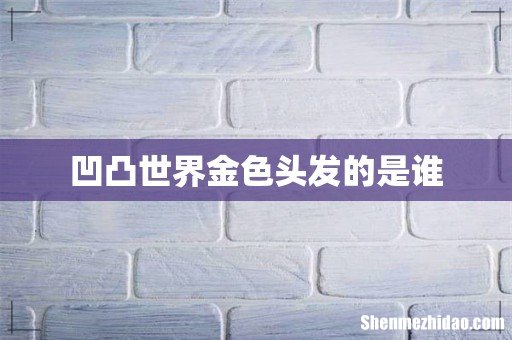 凹凸世界金色头发的是谁